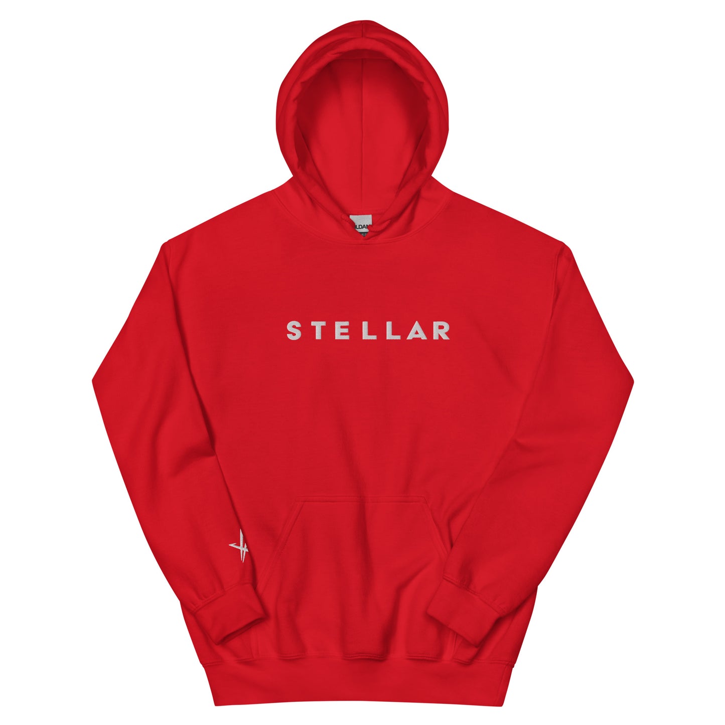 STELLAR Embroidered Hoodie