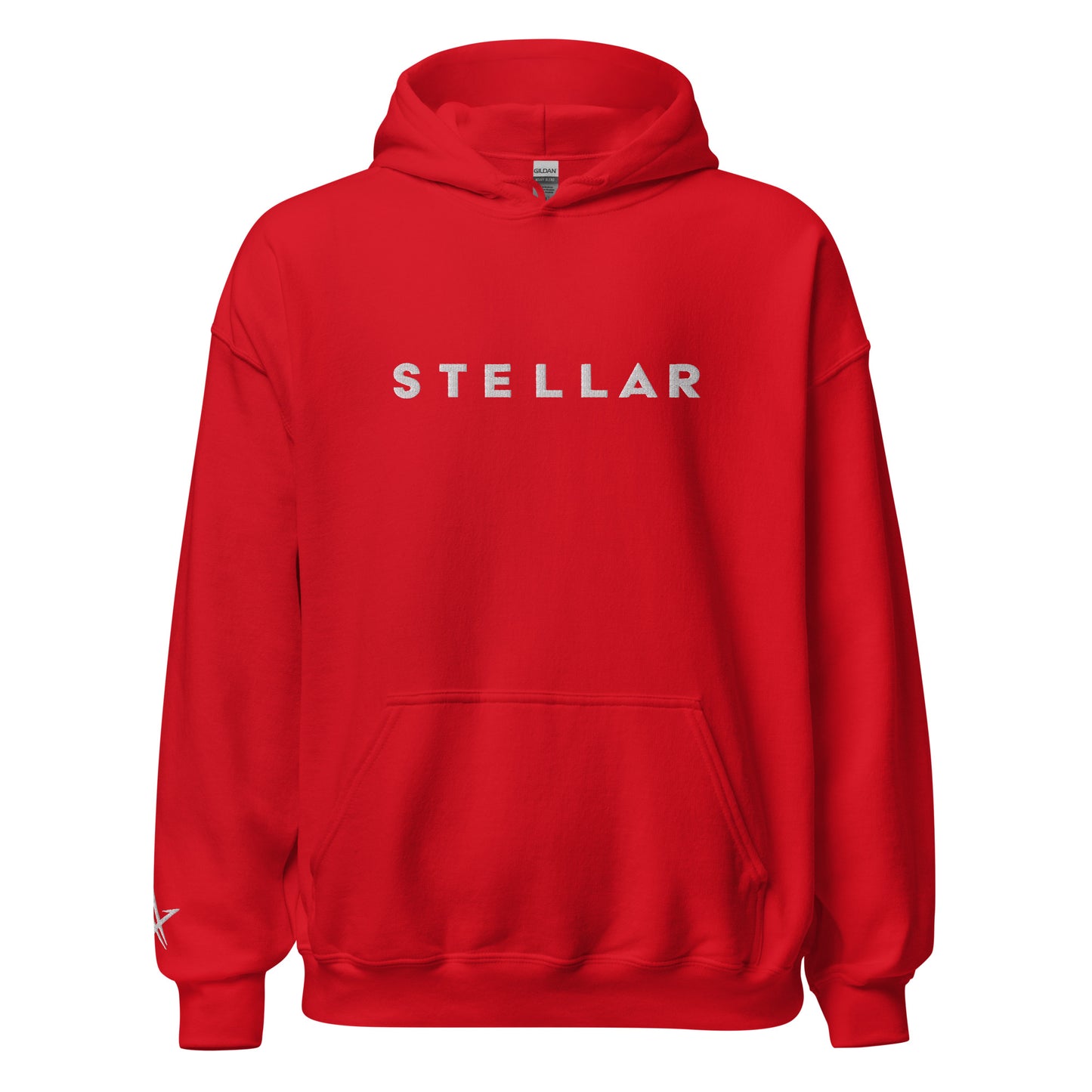 STELLAR Embroidered Hoodie